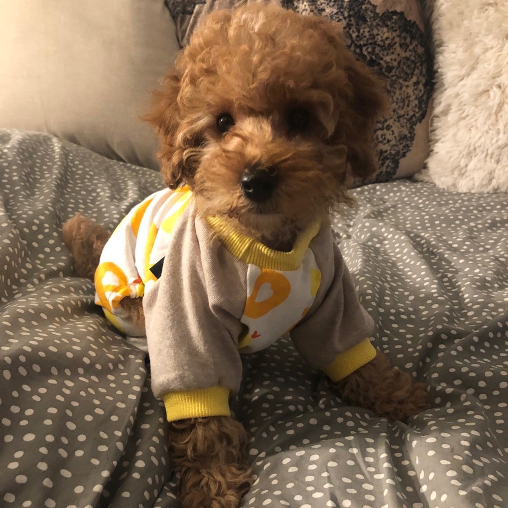 Meet your Posher, Ayumi